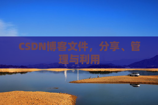 CSDN博客文件，分享、管理与利用